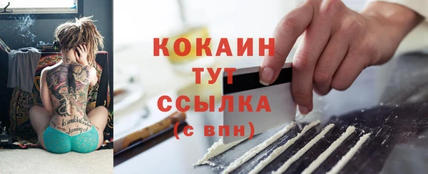 хмурый Дмитриев