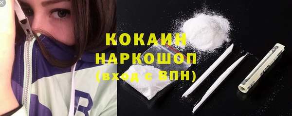 хмурый Дмитриев