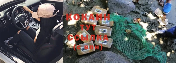 хмурый Дмитриев